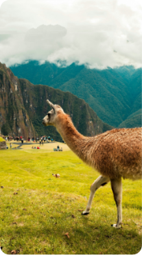 Picture for category Beijing