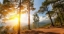 Picture of Hiking Turkey's Lycian Way