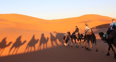 Picture of Morocco History and Culture tour 