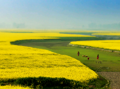 Picture of Bangladesh Holiday in Amazing South Bengal