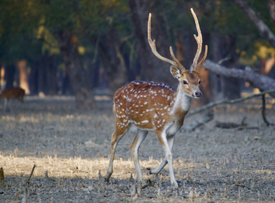 Picture of Bangladesh Holiday in Amazing South Bengal