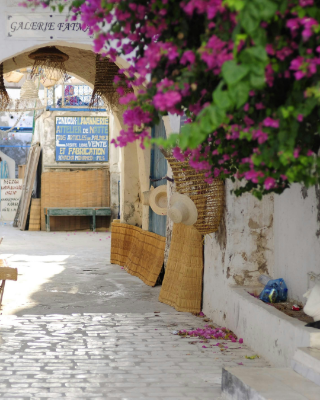 Picture of Tunisia - Ladies Only