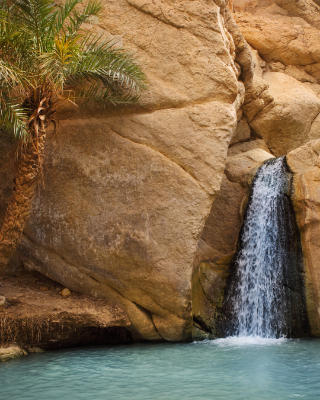 Picture of Tunisia - Ladies Only