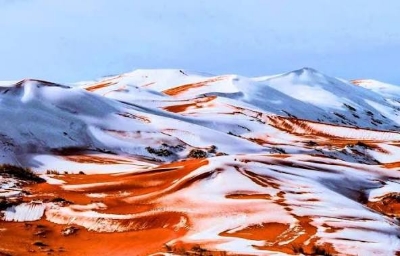 Picture of Algeria - Ladies Only 